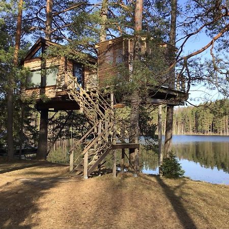 Treehouse Ciekurs Villa Dukuri Ngoại thất bức ảnh