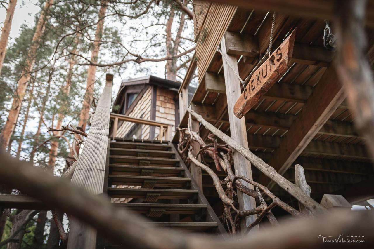 Treehouse Ciekurs Villa Dukuri Ngoại thất bức ảnh