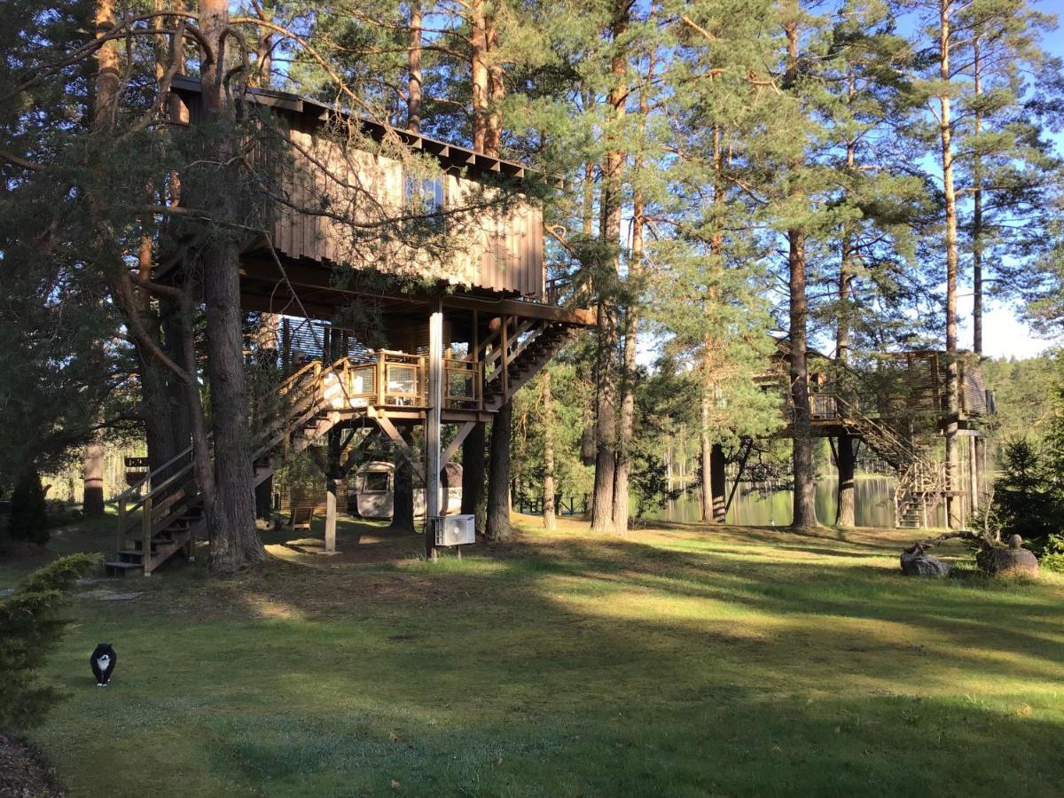 Treehouse Ciekurs Villa Dukuri Ngoại thất bức ảnh