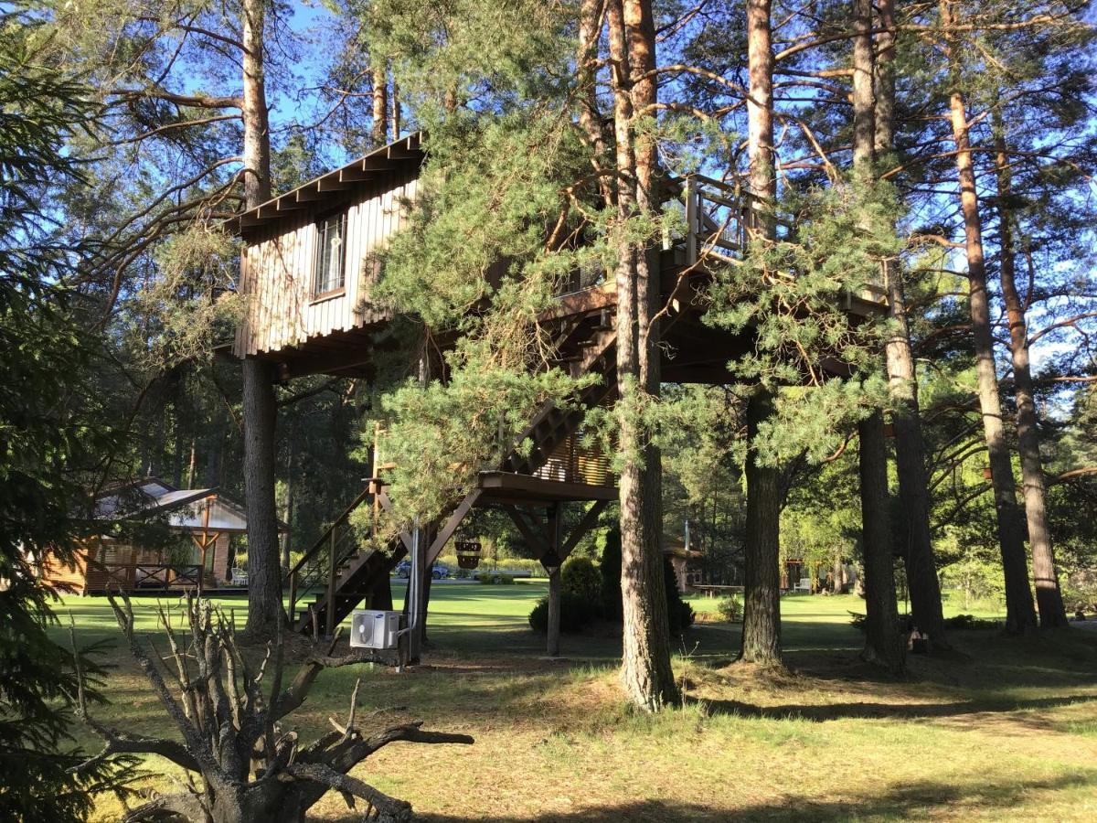 Treehouse Ciekurs Villa Dukuri Ngoại thất bức ảnh