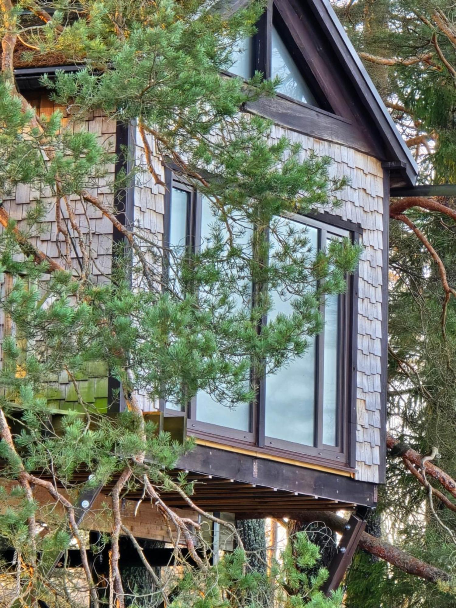 Treehouse Ciekurs Villa Dukuri Ngoại thất bức ảnh