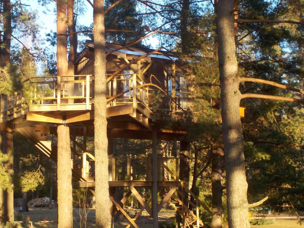 Treehouse Ciekurs Villa Dukuri Ngoại thất bức ảnh