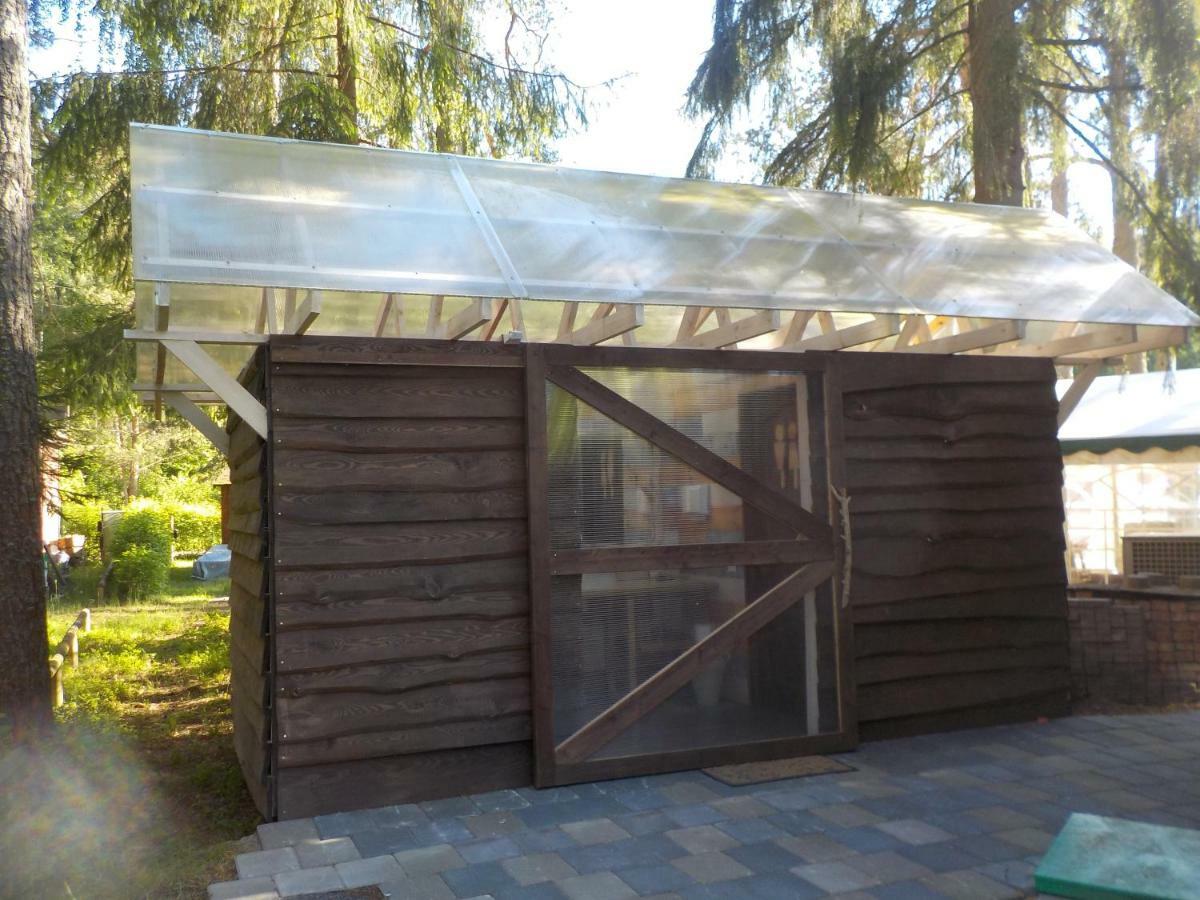 Treehouse Ciekurs Villa Dukuri Ngoại thất bức ảnh