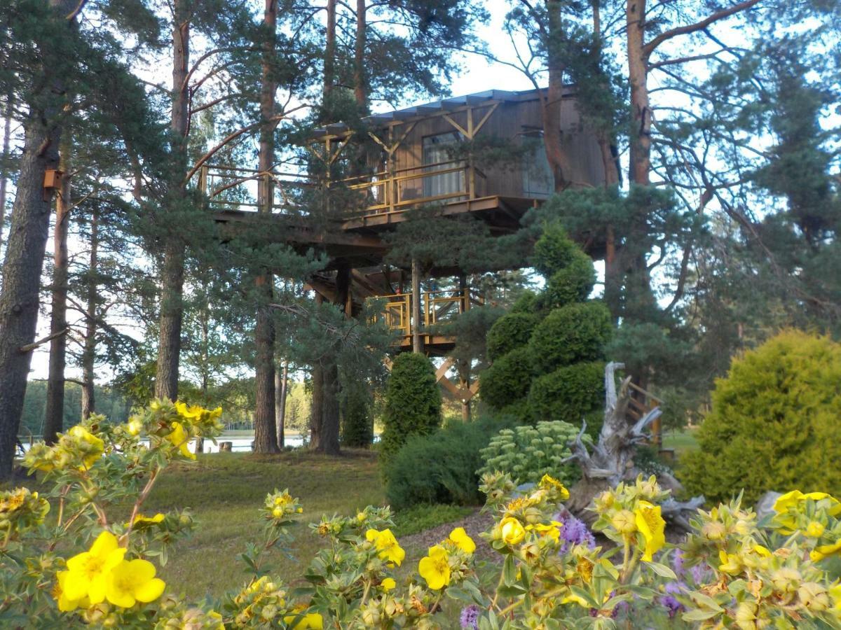 Treehouse Ciekurs Villa Dukuri Ngoại thất bức ảnh