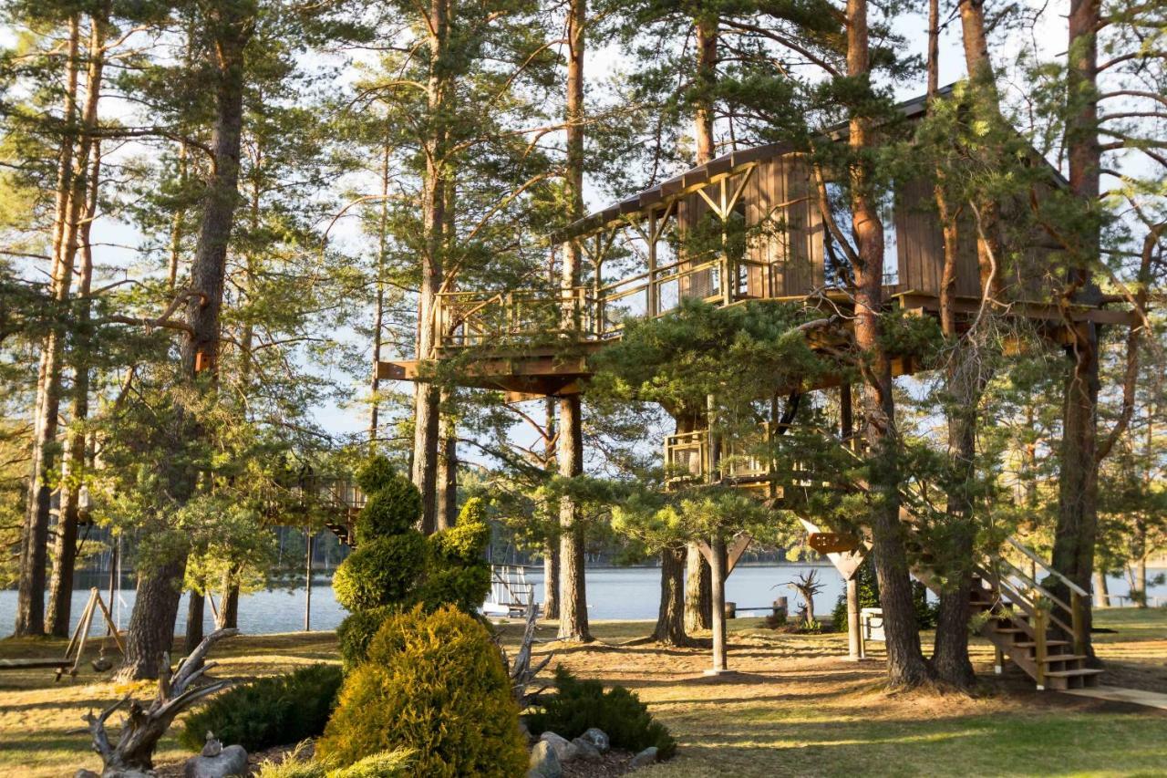 Treehouse Ciekurs Villa Dukuri Ngoại thất bức ảnh